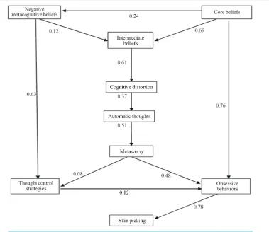 Figure 1. Conceptual model of the research and its standard coefficients.                      