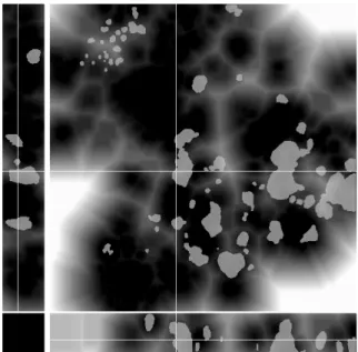 Fig. 3. Sludge flocs: distance mapping (away from red phase) with green phase overlaid.