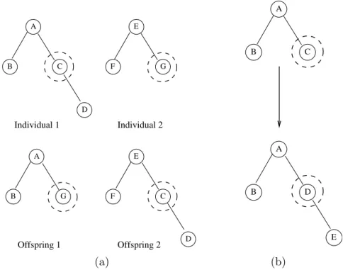 Figure 2.3: Simple crossover and mutation mechanisms of a GP: (a) Single point crossover;