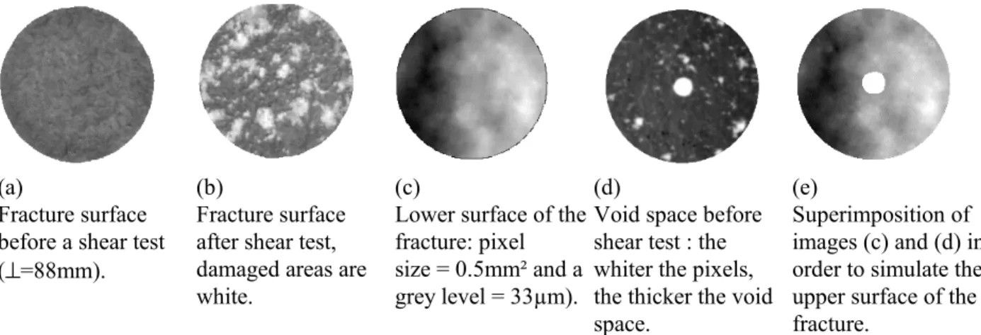 Fig. 1. A set of typical images available for analysing damage on sheared fracture surfaces