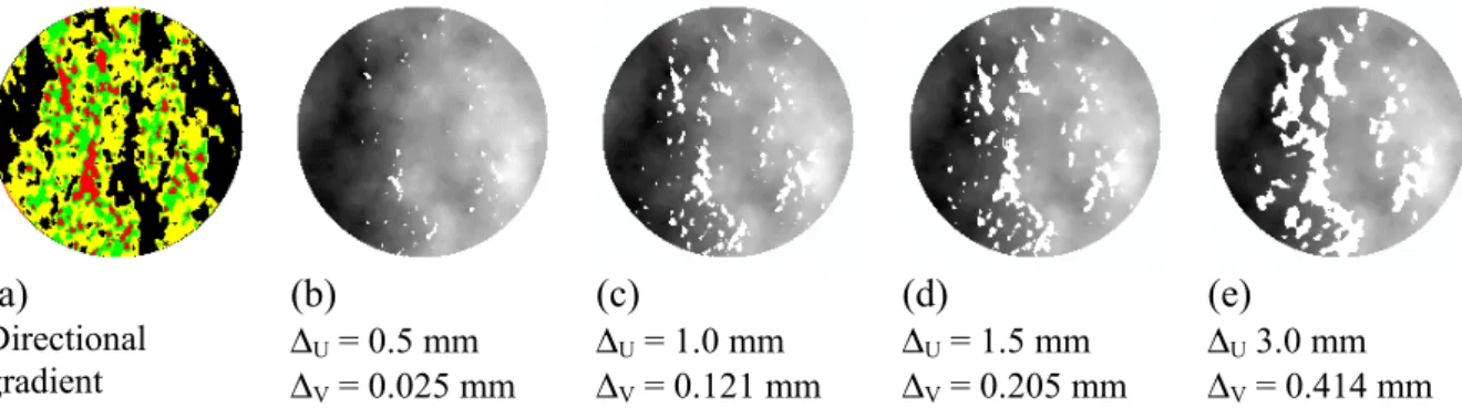 Fig. 2. The directional gradient of the lower surface of fracture (a) and the pattern of geometrical incompatibilities as explained (b,c,d,e) The normal stress is 21MPa.