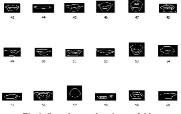 Fig 1: Sample image from Myanmar Facial Expression Database 