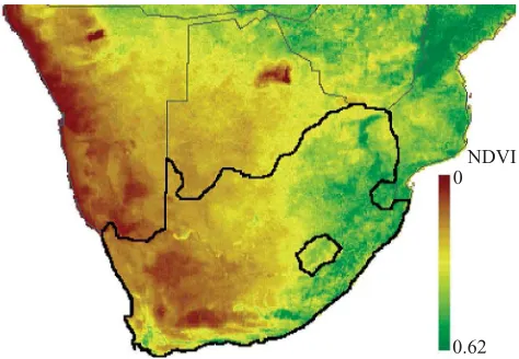 Figure 2. A map of the southern part of the Africancontinent showing NDVI levels. The study area, SouthAfrica and Lesotho, is delineated with bold blackboundaries