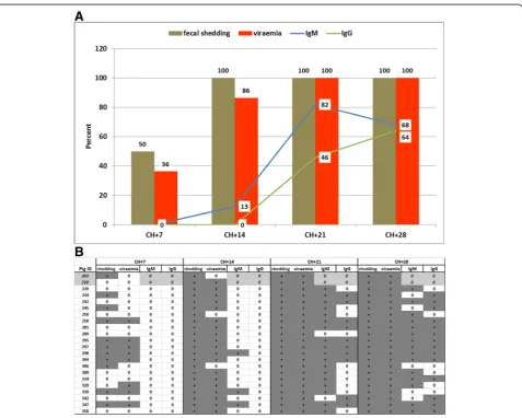 Fig. 3 Summary of the kinetics of the experimental PCV2 infection demonstrating the percent of pigs positive for fecal shedding, viremia, PCV2IgM and IgG antibodies