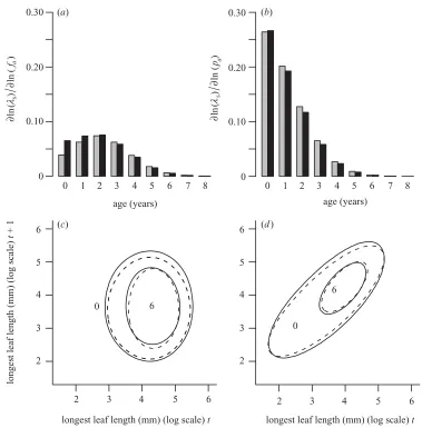 Figure 6. Elasticity analysis of the kernel component functions in constant (grey bars, dashed lines) and stochastic (black bars,continuous lines) models