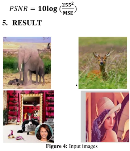 Figure 4:               Input images 
