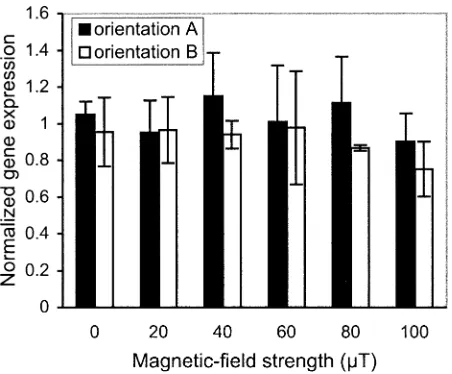 FIG. 3. Gene expression normalized to control at 37�was 4 h. Heat was applied for the last 2 h of the experimental period forthe 42 SEM for six experiments