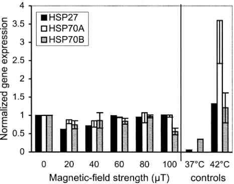 FIG. 4. Gene expression (normalized to value for 0are meansitant heat (40last 2 h of the experimental period for the 42 �T) for concom-�C) and magnetic-ﬁeld exposure (4 h)
