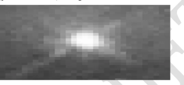 Figure  1:  An  image  —  an  array  or  a  matrix  of  pixels  arranged in columns and rows