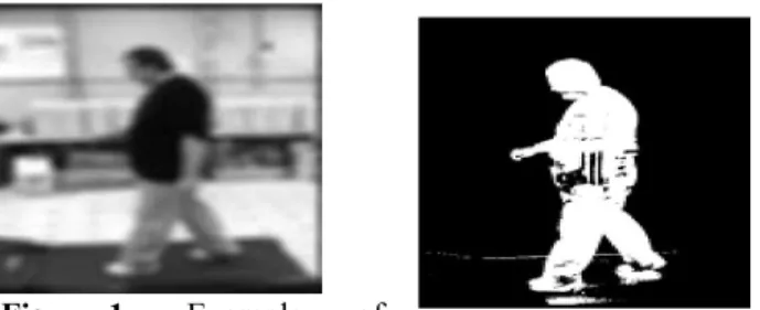 Fig.  1.  Example  of 