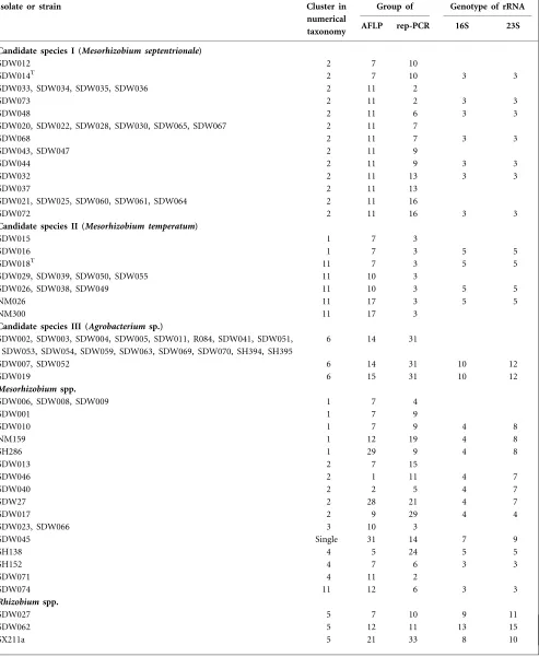 Table 1. Strains used in this study