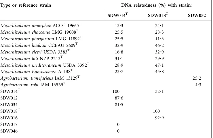 Table 2. DNA–DNA relatedness among strains representing candidate species I, II and III andthe type strains of some recognized species in the genera Mesorhizobium and Agrobacterium