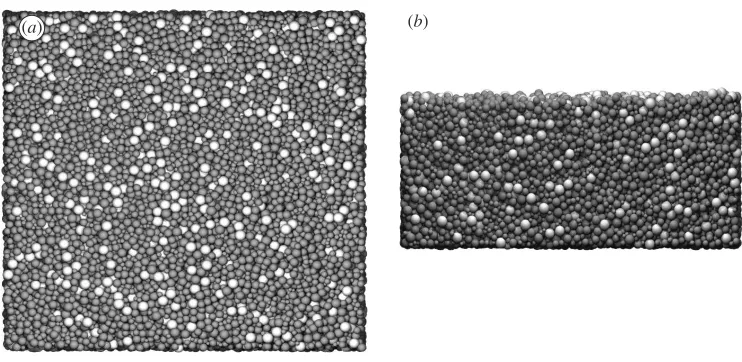 Figure 2. Plan and side view of the 200 × 200 × 80 mm sedimentbed section simulated (50 000 grains).