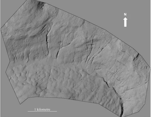 Figure 1.  A shaded relief map of the 2.0 m DEM used in this study. 