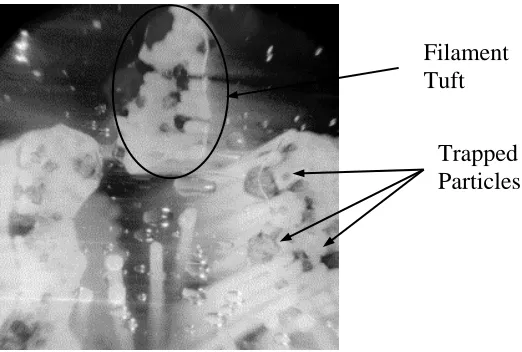 Figure 13  