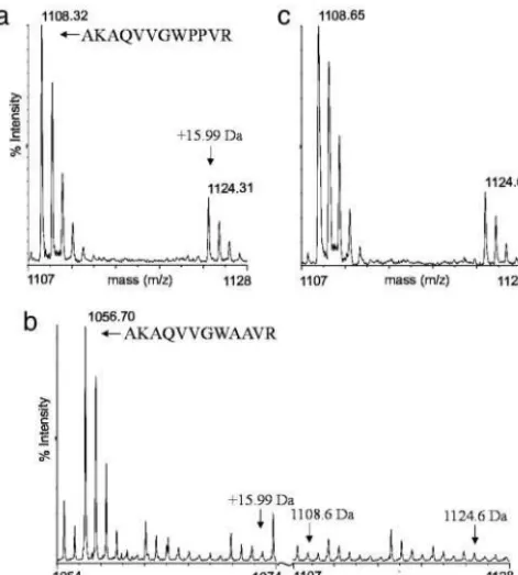 Fig. 1.Auxin does not induce mass-shifting modiﬁcations within domain II.