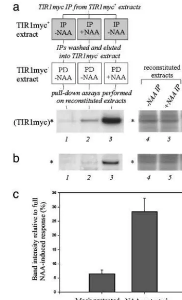 Fig. 2d shows that this is not the case. The reduced interaction with