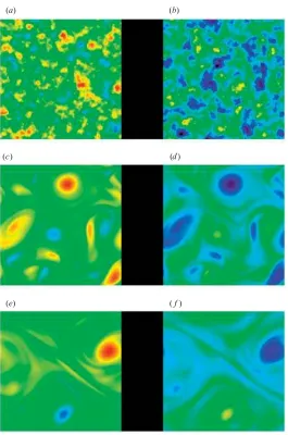 Figure 1. Evolution of the vertical vorticity and vertical velocity. The colour plots show theevolution of q (a, c, e) and w (b, d, f ) from random initial conditions