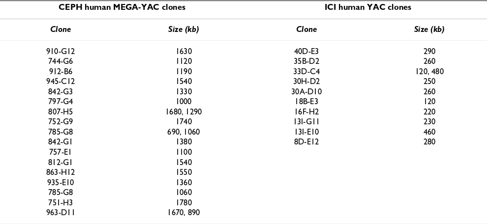 Table 2: Approximate sizes of YAC clones spanning the 2q24-31.1 autosomal recessive spastic CP disease gene locus, used to estimate 