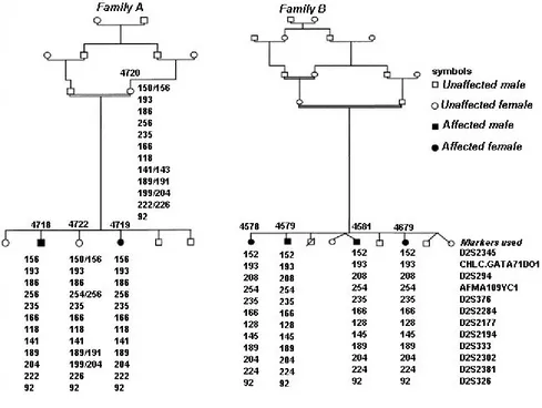 Figure 2Annotation of two pedigrees of spastic autosomal recessive CP families and corresponding linkage mapping data