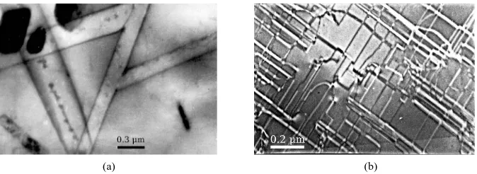 Figure 3. Fe50Cr50 alloy. Chemical domains (a) formed at high-temperature transition “ordering-phase separation” (water-quenching from 1200˚C and then water-quenching from 700˚C for 8 h) and (b) formed at low-temperature transition “ordering-phase separati