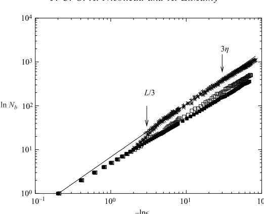 Figure 1. lnat�y Nb as a function of − ln ǫ for diﬀerent values of λ. The box-counting was made t = 0.057L/u′ for L1/η = 178