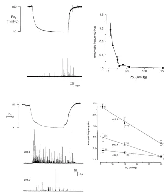 Figure 4.Left, upper trace indicates PO2 levels as inFigure 3. Below are shown twoamperometric traces from individual PC12cells in response to hypoxia either underacidic (middle trace) or alkaline (lowertrace) conditions, as indicated