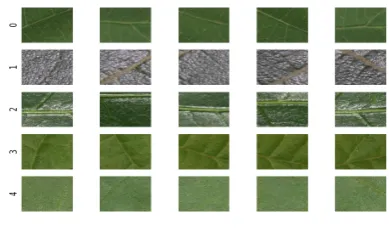 Fig. 2.The θ orientations for feature computation