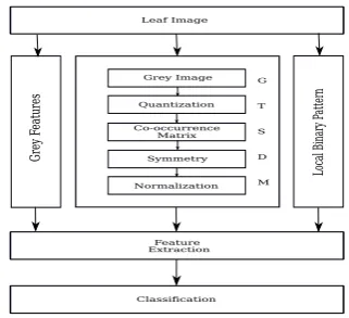 Fig. 4.Functional Diagram of the Leaf classiﬁcation system