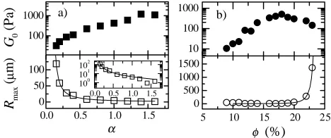 Fig. 3 – (a) Schematic phase diagram, adapted from [17], overlaid with the experimental points (×where), α and φ are, respectively, the copolymer/surfactant weight ratio and bilayer volume fraction.Experimental phase boundaries are inferred at •