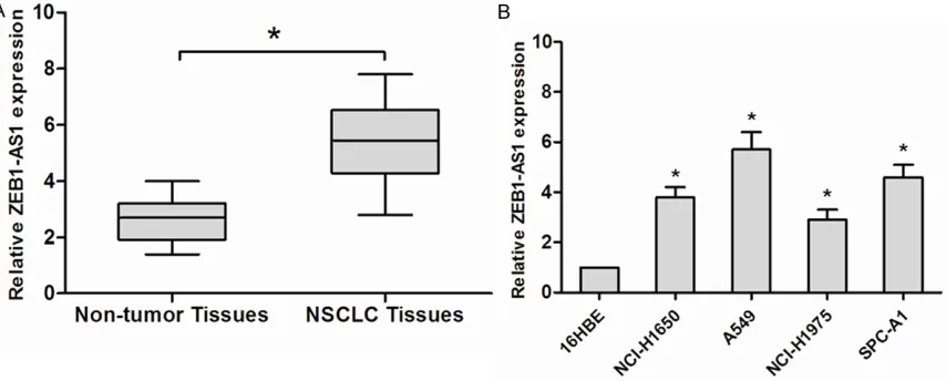 Figure 1. LncRNA ZEB1-AS1 was upregulated in NSCLC tissues and NSCLC cell lines. A. Relative expression of ZEB1-AS1 in human NSCLC tissues compared with adjacent non-tumor tissues (n=68)