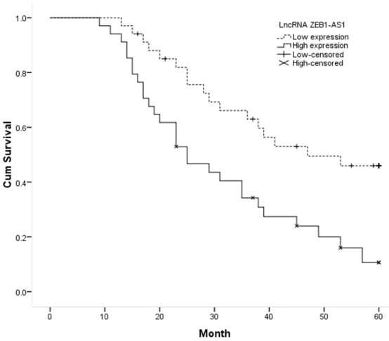 Figure 2. Kaplan-Meier survival curves of patients with NSCLC based on lncRNA ZEB1-AS1 expression