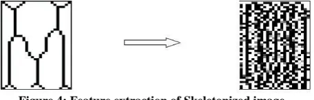 Figure 4: Feature extraction of Skeletonized image. 