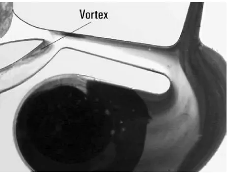 Figure 23. Photograph of visualized ﬂow in the model valve immediatelyafter an increase of the control ﬂow to set up the phase B conditions