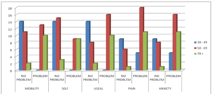 Figure 13: Number of patients associated with Problems and without problems according to 5 dimensions(Mobility, Self-care, Usual activity, Pain, Anxiety/ of Questionnaire 