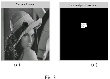 Fig.6  In Fig.6, temporization in sunset image is done by adding 