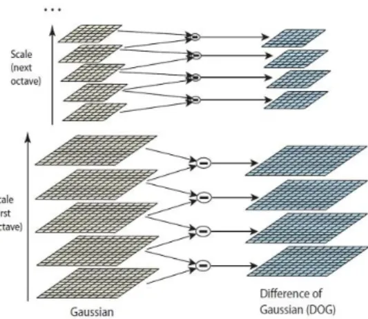 Fig. 4. Gradient magnitudes and orientations of images  F. Generate SIFT features 
