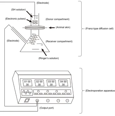 Figure 2 Flow diagram of transdermal experiment in vitro.Notes: The skin tissues of mice and miniature pig were fixed between the donor and receiver compartments