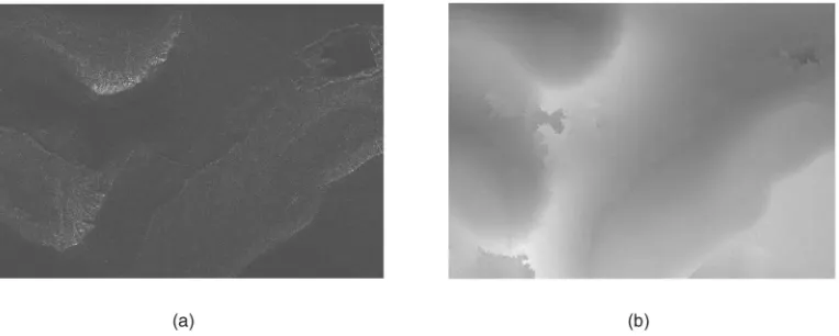 Fig. 3. Synthetic Aperture Radar (SAR) image and its corresponding Digital Elevation Map (DEM)
