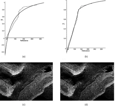 Fig. 4. Modeling SAR image reflectance function. (a) Approximation of the reflectance function using (26)