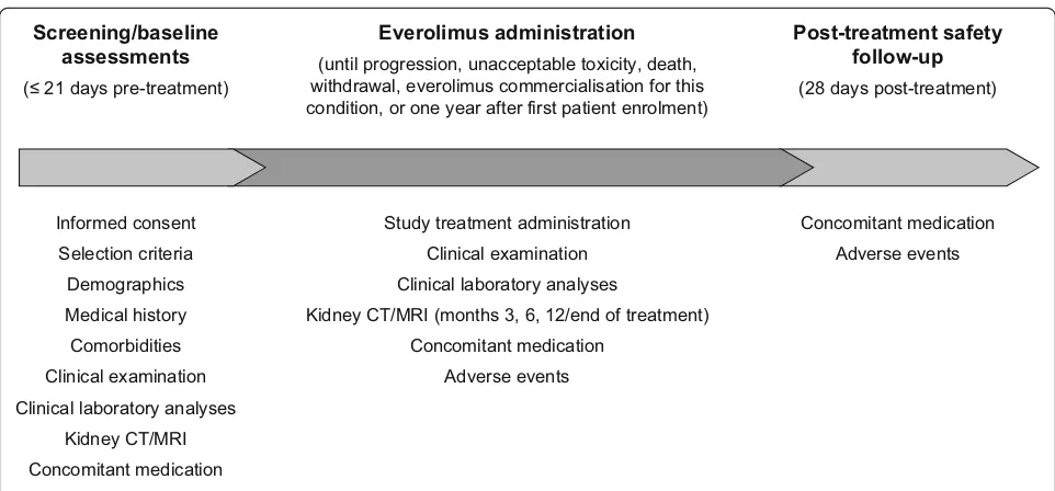 Fig. 1 Overall flow chart and main study assessments. Abbreviations: CT computed tomography, MRI magnetic resonance imaging