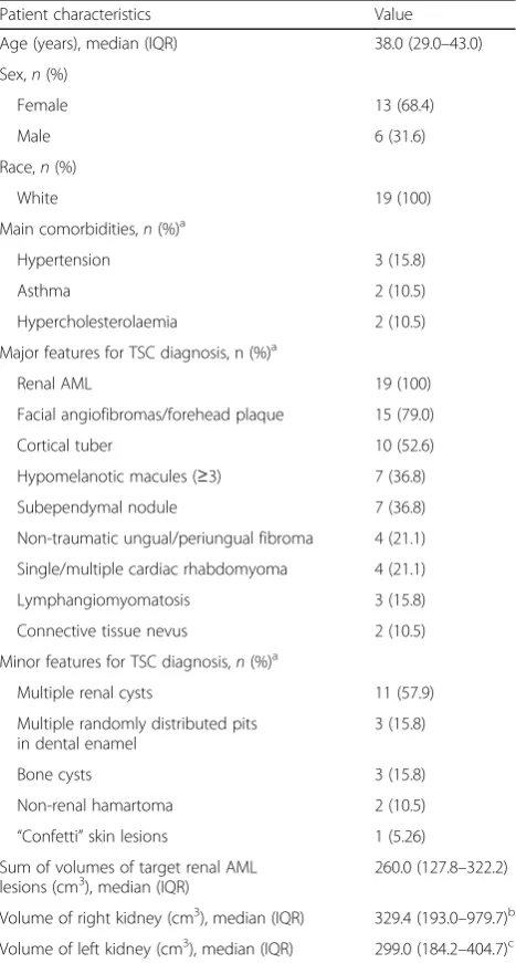 Table 1 Baseline patient characteristics (N = 19)