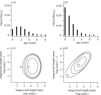 Figure 4. Elasticity analysis for the kernel component functions. Elasticity values are summed over size for (a) fa(x,y) and(b) pa(x,y) for all age classes