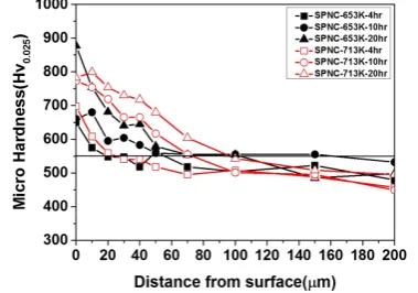 Figure 10. Hardness profile at different hours of SPN process. 