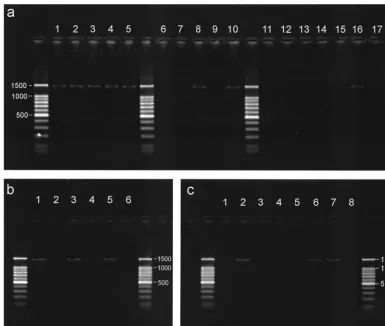 FIG. 2. Force of infection in a frequency-dependent model re-