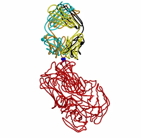 Figure 2 Target 2  