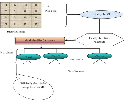 Figure 3: Process of MI on segmented image 