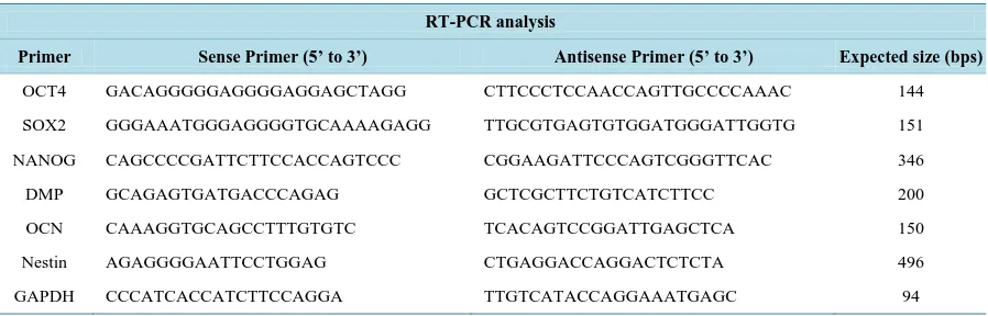 Table 1. List of the primers and sequences used for the RT-PCR to identify the expression of pluripotency markers (Oct4, Sox2, OCN, Nestin, Nanog and DMP)