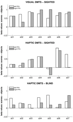 Figure S2, related to Figure 2. Single subject data showing the difference in PPA activation between scenes and objects for the different tasks / groups