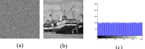 Fig 12:   Encryption by combination Arnold cat map (R=5) and SHCH with OFB mode : (a) the ciphered-image; (b) decryption which produce the original image (boat.bmp)